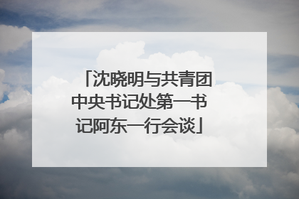 沈晓明与共青团中央书记处第一书记阿东一行会谈