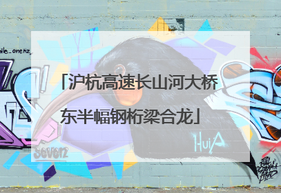 沪杭高速长山河大桥东半幅钢桁梁合龙