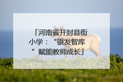 河南省开封县街小学：“银发智库”赋能教师成长