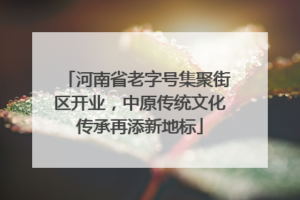 河南省老字号集聚街区开业，中原传统文化传承再添新地标