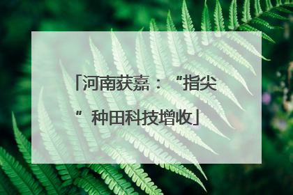 河南获嘉：“指尖”种田科技增收
