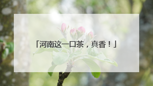 河南这一口茶，真香！