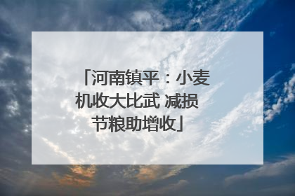 河南镇平：小麦机收大比武 减损节粮助增收