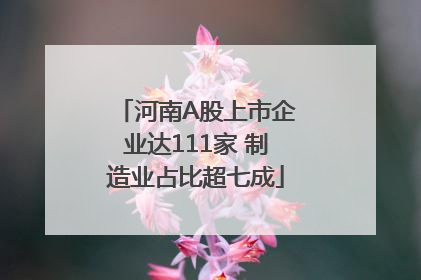河南A股上市企业达111家 制造业占比超七成