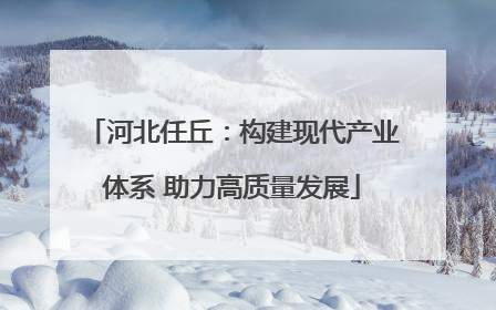 河北任丘：构建现代产业体系 助力高质量发展