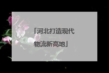 河北打造现代物流新高地