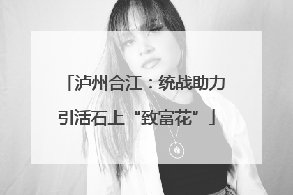 泸州合江：统战助力引活石上“致富花”