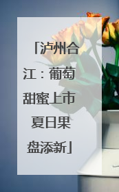 泸州合江：葡萄甜蜜上市 夏日果盘添新