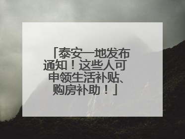 泰安一地发布通知！这些人可申领生活补贴、购房补助！
