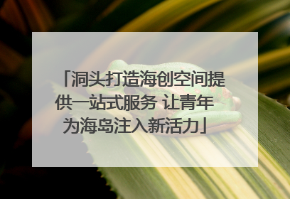 洞头打造海创空间提供一站式服务 让青年为海岛注入新活力