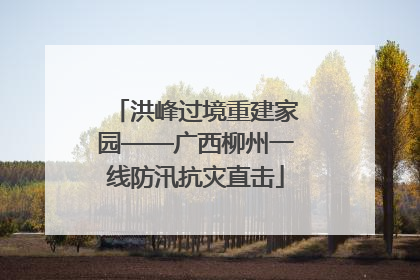 洪峰过境重建家园——广西柳州一线防汛抗灾直击