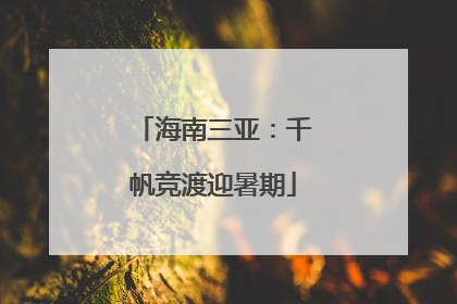 海南三亚：千帆竞渡迎暑期