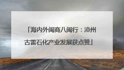 海内外闽商八闽行：漳州古雷石化产业发展获点赞