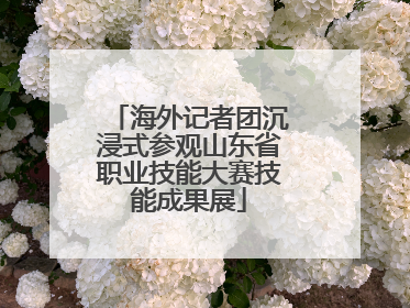 海外记者团沉浸式参观山东省职业技能大赛技能成果展