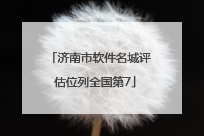 济南市软件名城评估位列全国第7