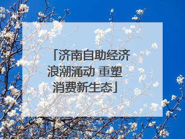 济南自助经济浪潮涌动 重塑消费新生态