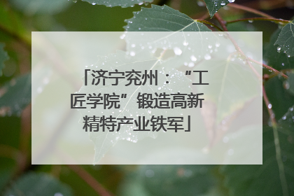 济宁兖州：“工匠学院”锻造高新精特产业铁军