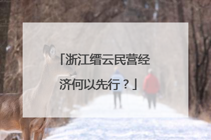 浙江缙云民营经济何以先行？