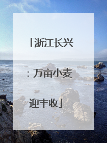 浙江长兴：万亩小麦迎丰收