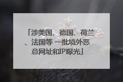 涉美国、德国、荷兰、法国等 一批境外恶意网址和IP曝光
