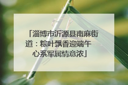 淄博市沂源县南麻街道：粽叶飘香迎端午 心系军属情意浓