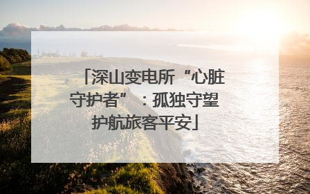 深山变电所“心脏守护者”：孤独守望护航旅客平安