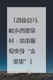 清徐县马峪乡西梁泉村：串串葡萄变身“金果果”