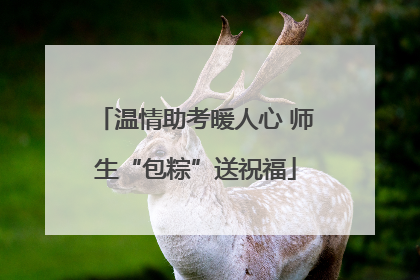 温情助考暖人心 师生“包粽”送祝福
