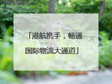 港航携手，畅通国际物流大通道