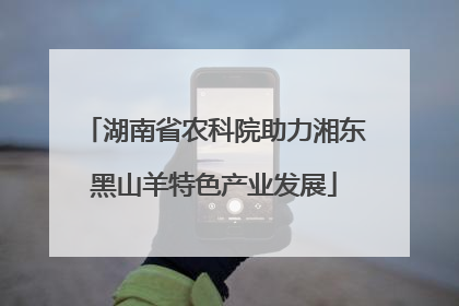 湖南省农科院助力湘东黑山羊特色产业发展