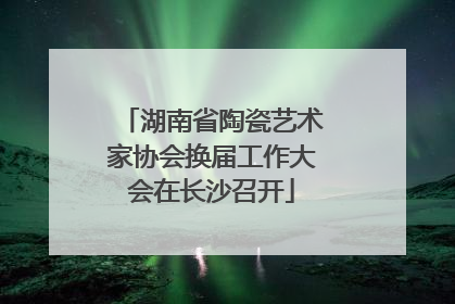 湖南省陶瓷艺术家协会换届工作大会在长沙召开