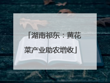 湖南祁东：黄花菜产业助农增收