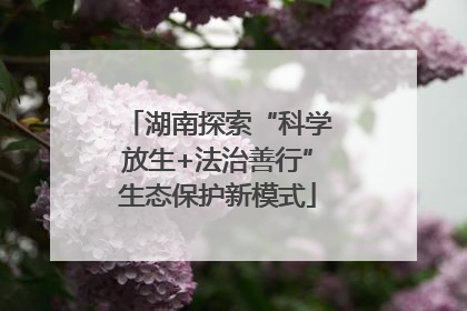 湖南探索“科学放生+法治善行”生态保护新模式