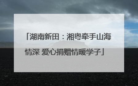 湖南新田：湘粤牵手山海情深 爱心捐赠情暖学子