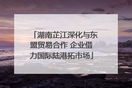 湖南芷江深化与东盟贸易合作 企业借力国际陆港拓市场