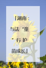 湖南：与法“童”行 护苗成长