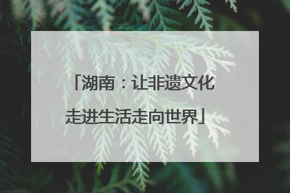湖南：让非遗文化走进生活走向世界