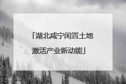 湖北咸宁闲置土地激活产业新动能