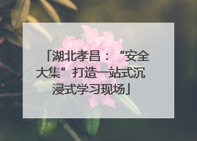湖北孝昌：“安全大集”打造一站式沉浸式学习现场