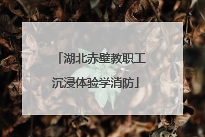 湖北赤壁教职工沉浸体验学消防
