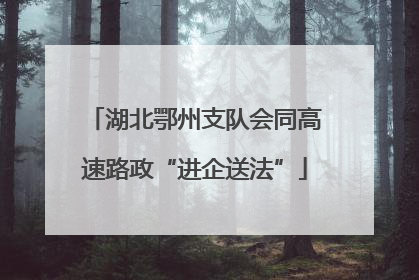 湖北鄂州支队会同高速路政“进企送法”