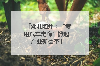湖北随州：“专用汽车走廊”掀起产业新变革