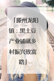 滕州龙阳镇：黑土豆产业铺就乡村振兴致富路