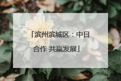 滨州滨城区：中日合作 共赢发展