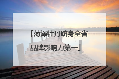 菏泽牡丹跻身全省品牌影响力第一