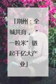 荆州：全城共育，“一粒米”链起千亿大产业