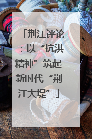 荆江评论：以“抗洪精神”筑起新时代“荆江大堤”