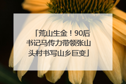 荒山生金！90后书记马传力带领张山头村书写山乡巨变