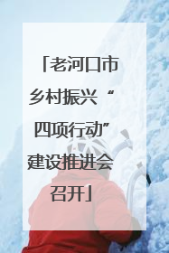 老河口市乡村振兴“四项行动”建设推进会召开