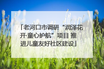 老河口市调研“润泽花开·童心护航”项目 推进儿童友好社区建设